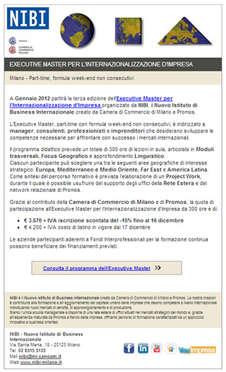 Dem NIBI, Master in Business Internazionale